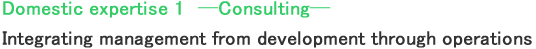 Domestic expertise 1 ─Consulting─