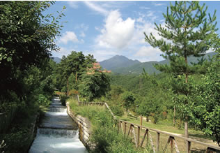 In June 1, 2010, we concluded a contract with the Kanto Regional Development Bureau of the Ministry of Land, Infrastructure, Transport and Tourism to manage and maintain the Alps Azumino National Government Park (in Azumino and Omachi, Nagano Prefecture). We are drawing on private-sector technologies and expertise to highlight the natural attractions of this park and make it a true Japanese heartland.