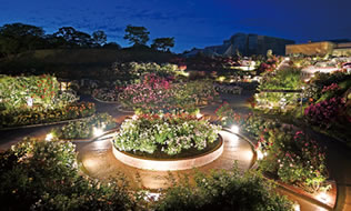 Every year, numerous people visit the rose garden to enjoy the bright and colorful environs.